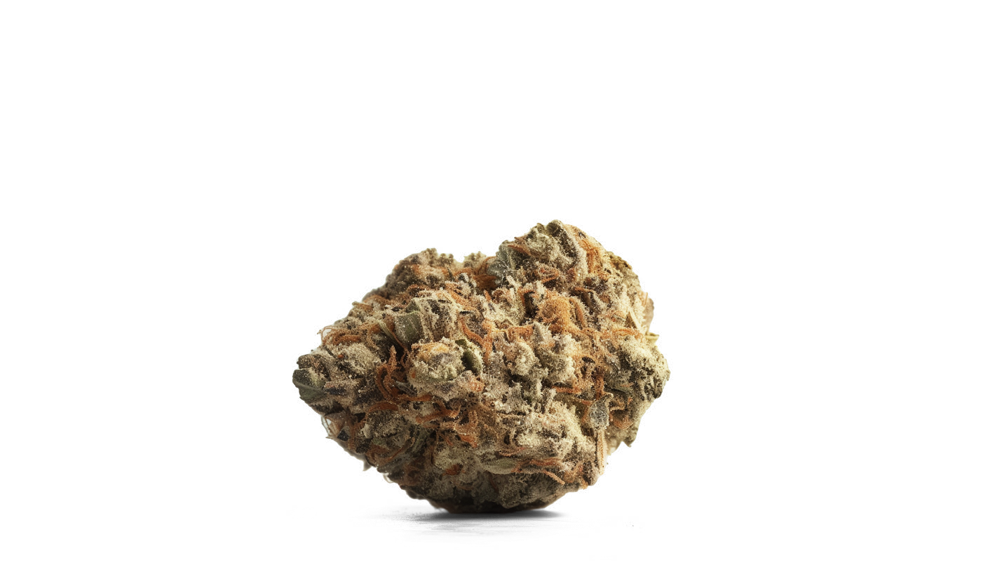 AMNESIA
