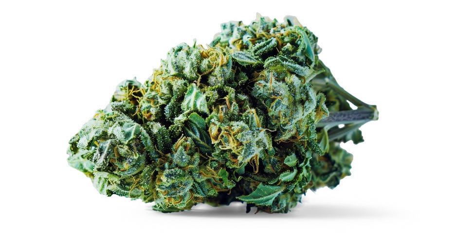 BLUE CHEESE