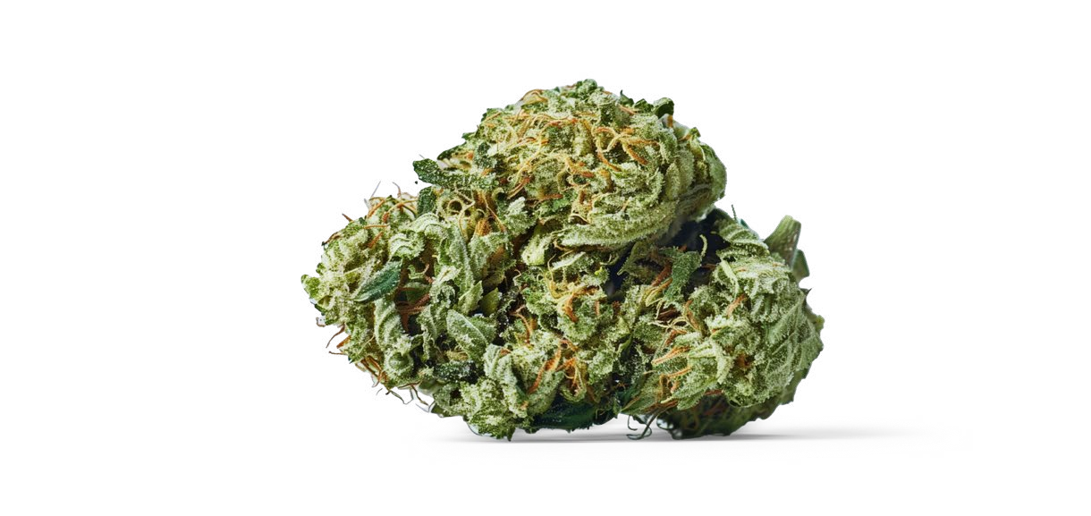Gorilla Glue