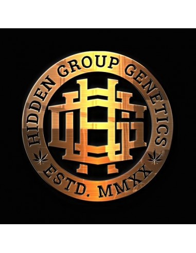 BOOM VOYAGE - Hidden Group Genetics