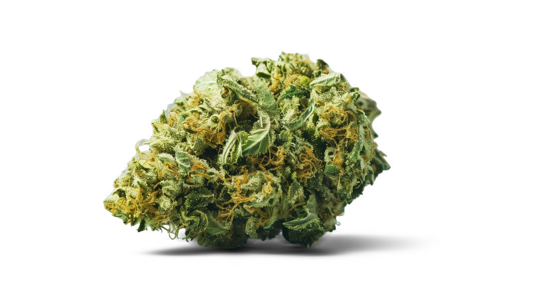 TRAIN WRECK