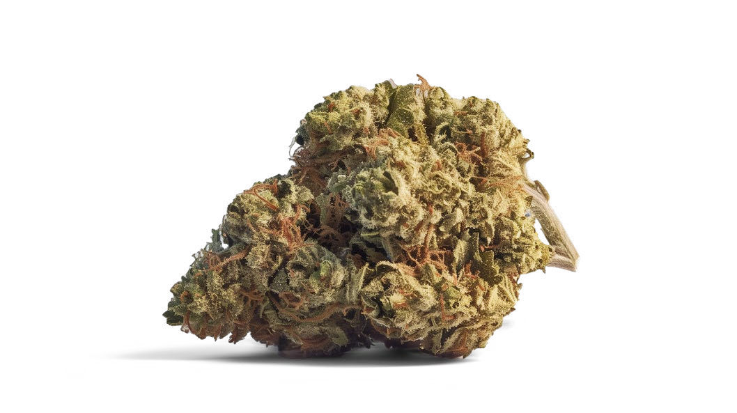 ZOOKIES